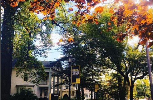 THE COLLEGE OF SAINT ROSE
